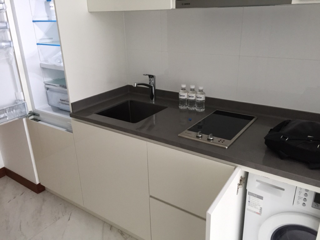 18 Woodsville (D13), Apartment #103683552